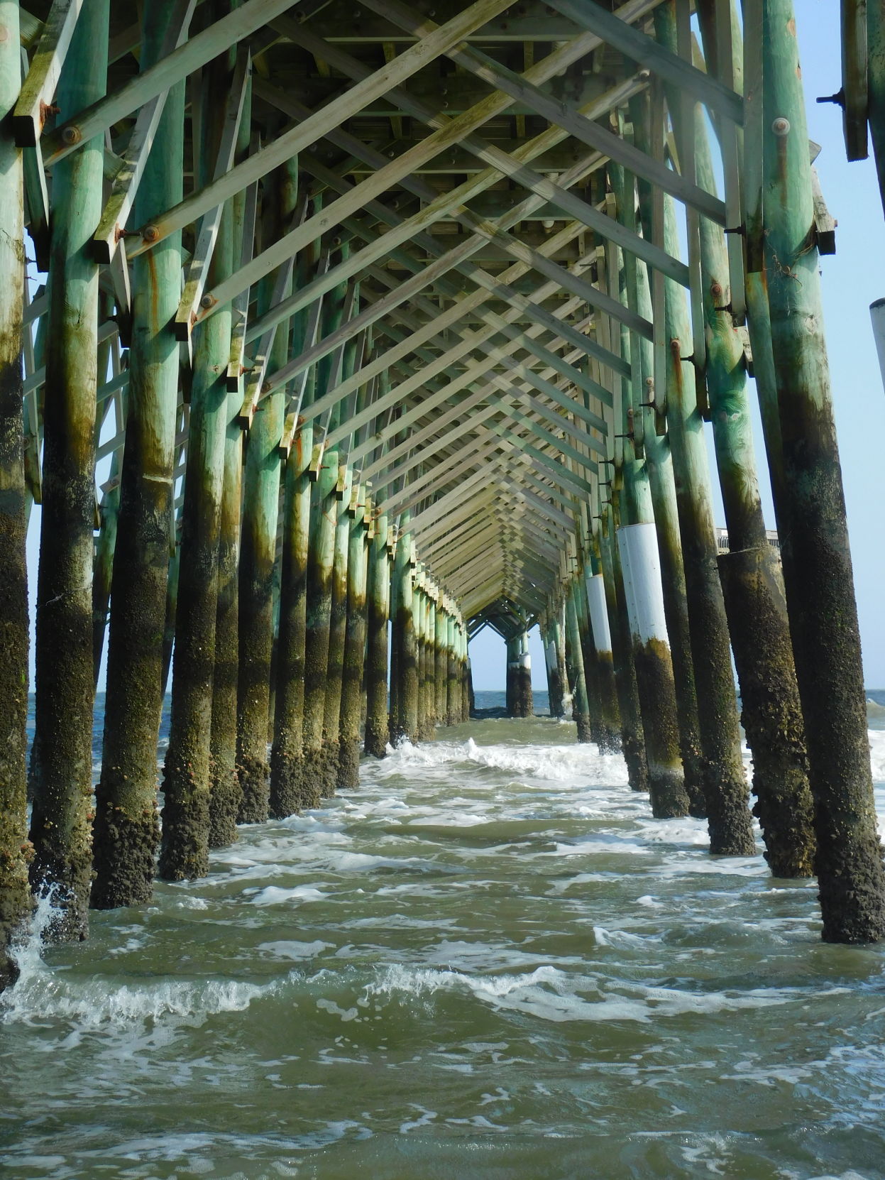 Under the pier